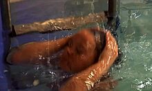 शानदार अमेचुर गैब्रिएला स्विमिंग पूल में अपनी चूत दिखाती है।